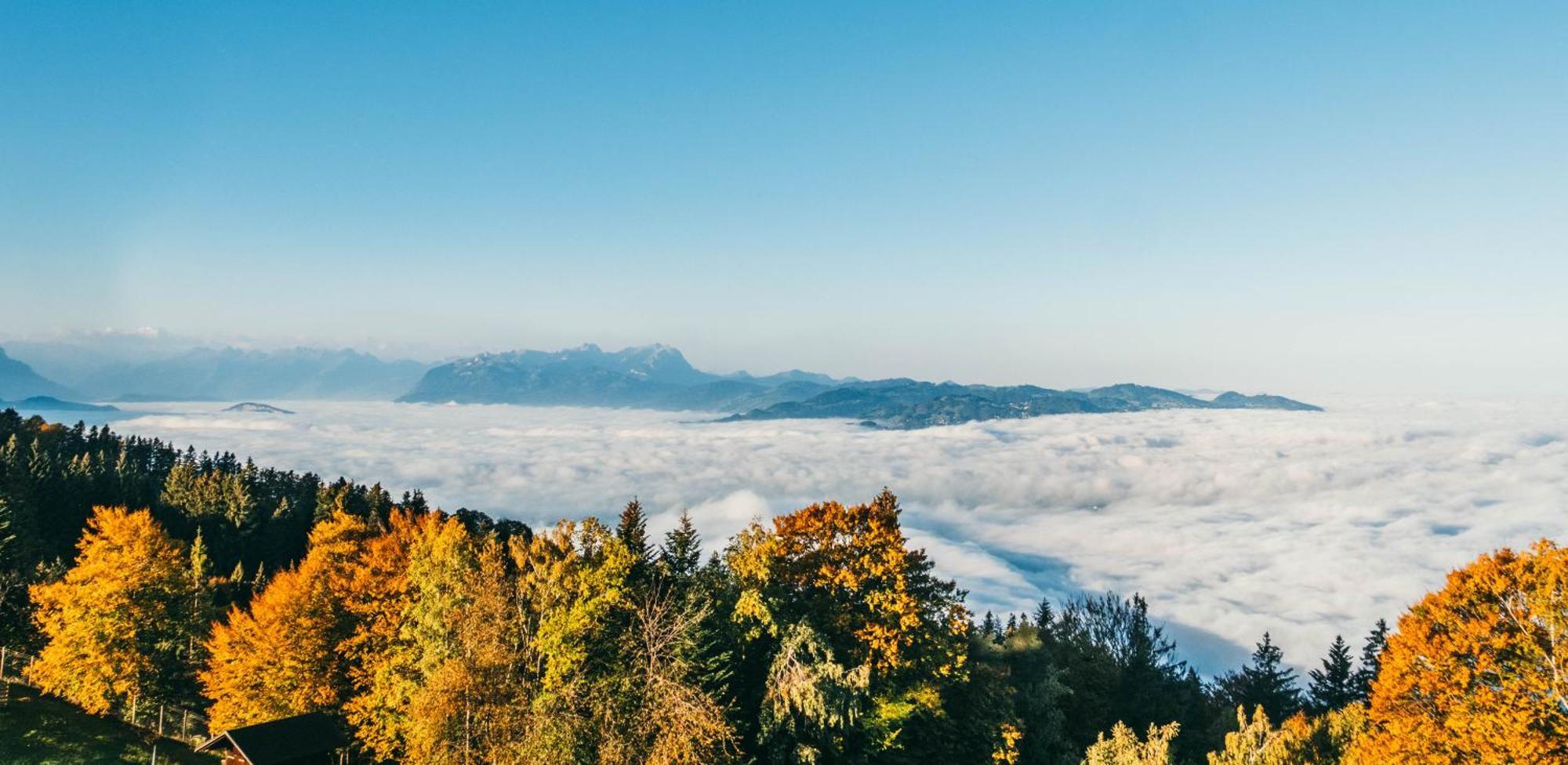 Seeblick Bregenz - Mit Parkgarage Exterior foto